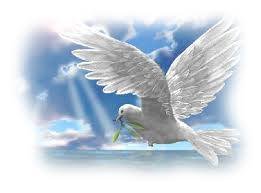 10430395_726535234069282_5103589322642523790_n